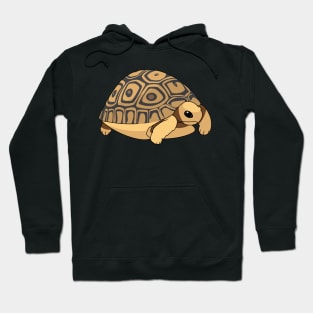 Cute leopard tortoise Hoodie